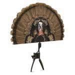 MOJO Outdoors Tail Chaser Max, Realistic Painted Turkey Portable Fan Hunting Decoy, Turkey Hunting Gear and Accessories Brown