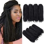 4 Packs Braiding Hair Afro Kinky Extensions Twist Crochet Braids Synthetic Hair 20 Inch (1B#)