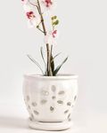5 Inch Ceramic Orchid Pots with Hol