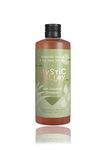 Mystic Valley Arnica Extract & Tea Tree Oil Anti Dandruff Shampoo With Ionized Silver - For Sebum Control, Sulphate & Paraben Free - 350Ml