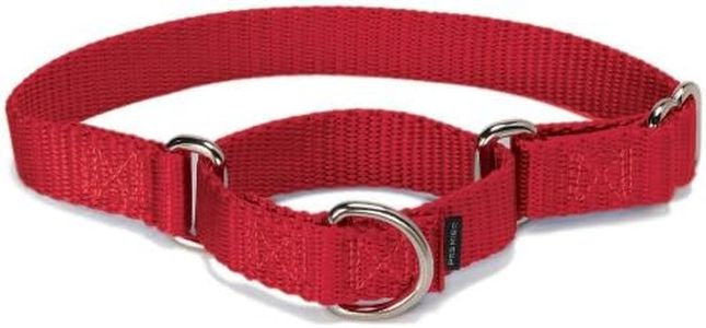 PetSafe Adjustable Martingale Collar - Only Tightens When Dogs Pull, Prevents Slipping Out - Helps with Strong Pullers, Increased Control - Alternative to Choke Collar - 1", Large, Red
