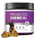 Probiotics for Dogs Dog Probiotic C