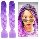 Leogony 2PCS 2 Tone Hair Extensions for Braiding, Deep Purple and Light Purple Mermaid Fake Braids Hair, Plait Coloured Synthetic Wig