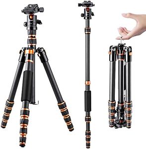 K&F Concept 60 inch Carbon Fiber Camera Tripod,Super Lightweight Compact Travel Tripod with 360 Degree Ball Head,Quick Release Plate,Detachable Monopod 8KG Load Capacity for SLR DSLR C225C0 (BA225)