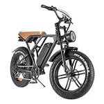 BreezeRider Electric Bike 750W Elec