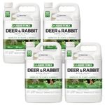 Liquid Fence Deer And Rabbit Repellent Ready-To-Use 1 Gallon, Apply Year-Round, 4 Pack