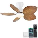 Kviflon 30 Inch Ceiling Fans with L