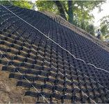 Geogrid fo