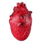 DECHOUS Bloody Heart Prop, 1Pc Halloween Fake Heart Realistic Bloody Heart Prop, Life Size Bloody Body Organ Halloween Scary Bloody Body Heart Decor for Haunted House Halloween Party