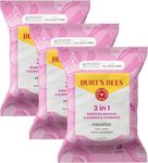 Burts Bees Micellar Rose Water Faci