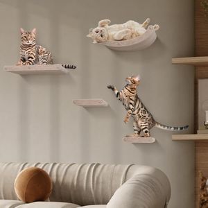 Cat Wall S