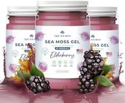 TrueSeaMoss Wildcrafted Irish Sea Moss Gel – Nutritious Organic Raw Seamoss Rich in Minerals, Health Supplement, Made in USA (Elderberry, Pack of 3)