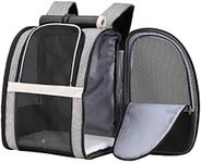 Texsens Pet Carrier Backpack with Window Blind for Small Cats Dogs, Ventilated Design, Safety Straps, Buckle Support, Collapsible, Designed for Travel, Hiking, Winter Outing, Outdoor, Go to Vet