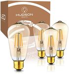 Hudson Vintage LED Edison 4W Light Bulbs (4 Pack) - 2200K Dimmable Warm Lightbulbs (40W Equivalent) - E26/27 Base Amber Gold Tint Glass Light Bulbs - ST58 Style Decorative Light Bulb Set