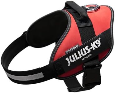 Julius-K9,