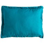 Trespass Unisex's SNOOZEFEST Lightweight Compact Packaway Camping-Travel Pillow, Blue Bottle, 35 x 23cm