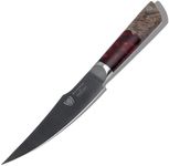 Dalstrong Curved Fillet Knife - 6.5