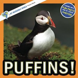 Puffins!: A My Incredible World Picture Book for Children (My Incredible World: Nature and Animal Picture Books for Children)