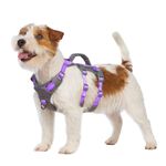 Huntboo Reflective Dog Harness with Handle, Escape Proof, No Slip,Breathable, Lightweight,Adjustable Lift Harness for Small,Medium,and Large Dogs Walking, Training,and Running Gear(Lavender Purple,XS)