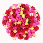 The FloralMart® Father's Day Special 100 Mixed Roses Fresh Flower Bouquet in Paper Wrapping || TFM (100 Mixed Roses)