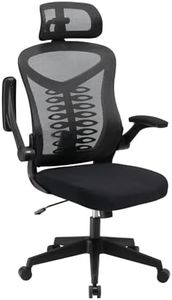 Magic Life Ergonomic Office Chair Computer Chair with Adjustable Headrest/Lumbar Support, High Back 3D Armrests Home Mesh Chair (Black)