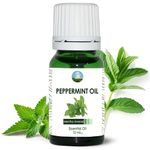 NPOW Peppermint Oil Essential, Pure Peppermint Oil, Pepermint Oil, Peppermint Mint Oil, 100% Peppermint Oil, Peppermint Oil for Hands, Peppermint Oil Rat Repellent, Peppermint Essential Oil - 10ml