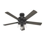 Hunter Fan Company 51745 Hartland Ceiling Fan 52 Black