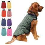 EMUST Winter Dog Coats, Dog Apparel for Cold Weather, British Style Windproof Warm Dog Jacket for Small Dog Coats for Winter, 7 Sizes 13 Colors(X-Small(Pack of 1), Green)