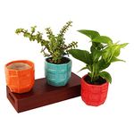 Leafy Tales Set of 3 Barrel Shape Ceramic Pot, Pot Only (Multi- Color), Barrel - 3 (Fog Foun_RY)