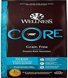 Wellness Natural Pet Food CORE Ocean Dry Dog Food, 22-Pound Bag