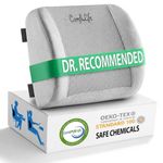 ComfiLife Lumbar Support Back Pillow Office Chair and Car Seat Cushion - Memory Foam with Adjustable Strap and Breathable 3D Mesh (Gray)