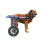 Walkin' Wheels Dog Wheelchair - for Large Dogs 70-180 Pounds - Veterinarian Approved - Dog Wheelchair for Back Legs