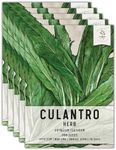 Seed Needs Culantro Seeds for Planting - Non-GMO, Heirloom & Untreated - Culinary/Medicinal Herb to Organically Grow an Indoor/Outdoor Garden - Saw Leaf Coriander (5 Packs)