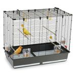 Ferplast Large Cage for Canaries, Parakeet Cage Exotic Bird Cage PIANO 6, with Revolving Feeders and Accessories, 87 x 46.5 xh 70 cm