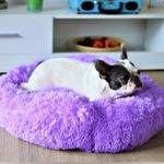 ZEXSAZONE Round Donut Pet Bed for Cats and Puppies Dogs, Cozy and Plush, Raised Bedside Support, Both Sides Use Like 2 in One, Washable, Sizes for Small, Medium, and Large Pets. (Small, Purple)