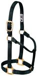 Weaver Leather Original Non-Adjustable Nylon Horse Halter Black, Weanling/Pony