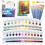 Vicloon Acrylic Paint Set, 43 Pcs Acrylic Paint Set Colour Kit with 11 Paint Brushes, Non Toxic, for Paper, Canvas, Wood, Ceramic, Fabric, Craft for Beginners, Students, Kids or Hobby Painter