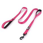 Pioneer Petcore Dog Leash 6ft Long,