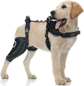 LISPOO Dog Knee Support for ACL Tear Rehabilitation and Dislocated Patella -Adjustable Leg Support and Sufficient Breathability,Injury Recovery and Balance Assistance-Right Leg-M Size