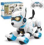 Robot Dog 