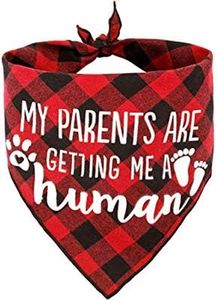 My Parents