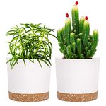 5 inch Plant Pot, 2 Pack Planters for Indoor Plants with Drainage Holes & Saucer, Outdoor Garden Flower Pots Modern Decor