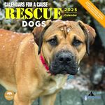 2025 Rescue Dogs Monthly Wall Calendar by Bright Day, 12 x 12 Inch