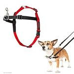 Company of Animals HALTI Front Control Harness, Size Small, Professional Dog Harness to Stop Pulling on the Lead, Easy to Use, Anti-Pull Training Aid, Front Leading No Pull Harness for Small Dogs