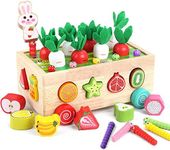 PELOSTA Toddler Montessori Toys for