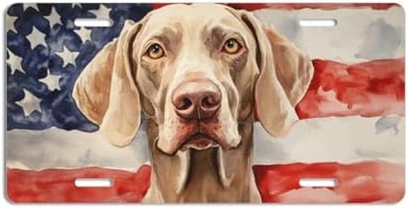 NGZ Weimaraner License Plate, Funny Pet American Flag Painting Aluminum License Plate Suitable for Car, RVs, Bars, Fences, garages, etc. 12x6 Inch
