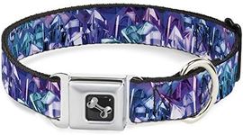 Buckle-Down Seatbelt Buckle Dog Col