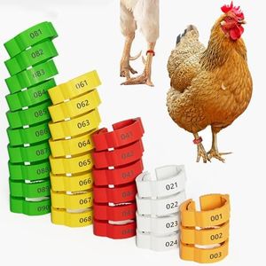 16mm 100 Pcs Adjustable Poultry Leg Bands,Chicken Leg Rings,Duck Leg Bands,5 ​​Colors Laser Engraved Clip Rings for Large Poultry Chicken,Duck,Turkey,Goose Gamefowl Turkey