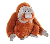 Wild Republic Male Orangutan Plush Soft Toy, Cuddlekins Cuddly Toys, Gifts for Kids 30 cm,Brown