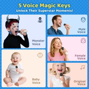 Jeefu Karaoke Machine with 2 Wireless Microphones – Portable Speaker
